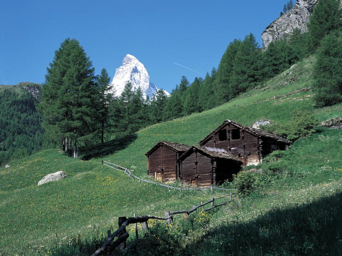 Apartment Aquila By Interhome Zermatt Exteriör bild
